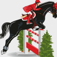 Christmas Show Jumping Competition 14.12.25